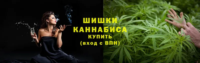 Шишки марихуана THC 21%  Асино 